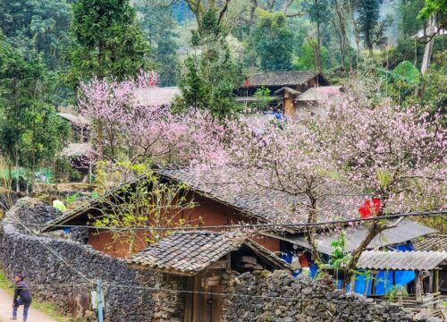 Bật Mí 07 Bản Làng Xinh Đẹp Tại Hà Giang Nhất Định Phải Đến