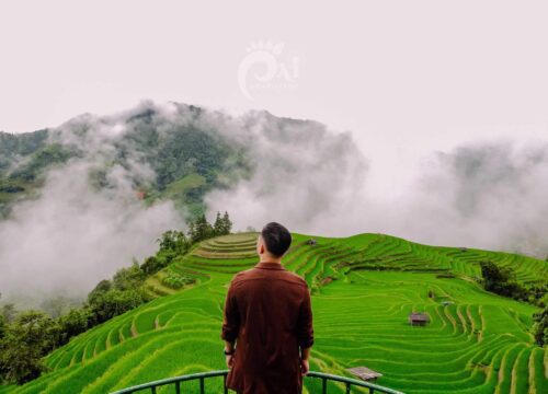 Tour Hoàng Su Phì - Thảo Nguyên Suôi Thầu - Thác Tiên 3 Ngày 2 Đêm