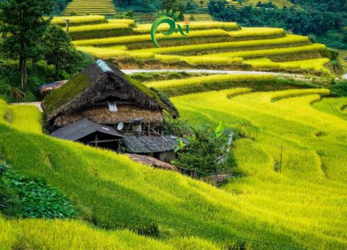 Bản Xà Phìn – ngôi làng cổ tích giữa đại ngàn Tây Côn Lĩnh.