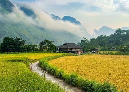Tour Hà Giang Truyền Thống 4 Ngày 3 Đêm