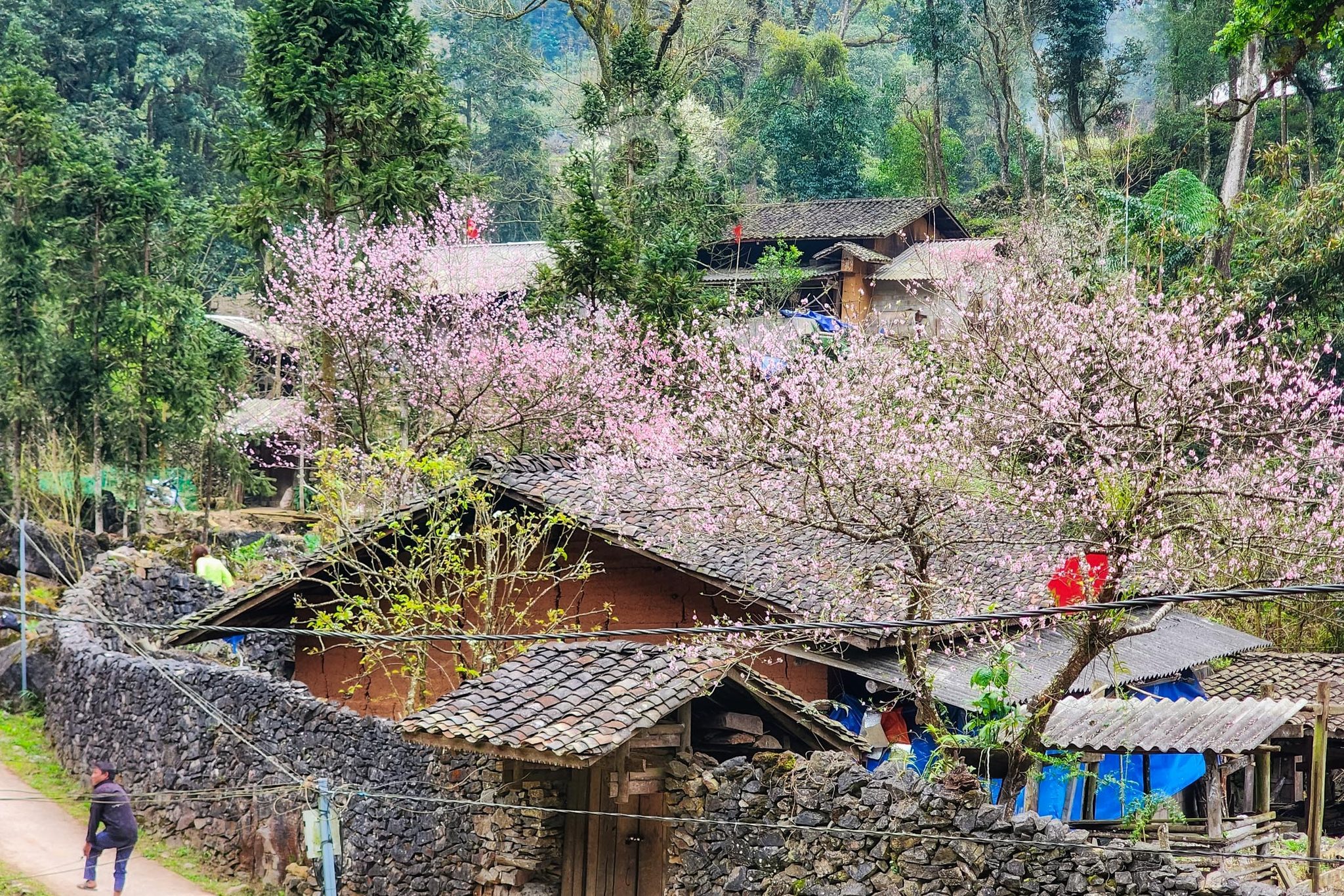 Tour Khám Phá Hà Giang 5 Ngày 4 Đêm ( Mix all)