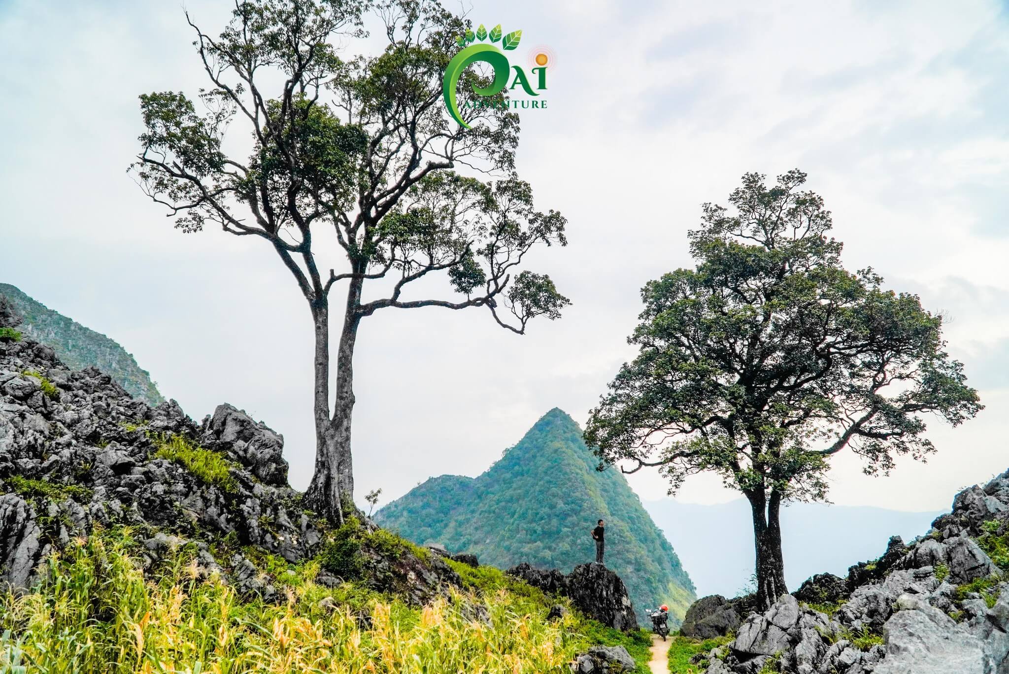 Tour Hiking Cao nguyên đá Đồng Văn 1 Ngày