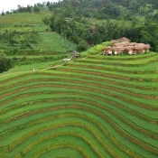 Ruộng bậc thang xanh và bản làng ở Hoàng Su Phì